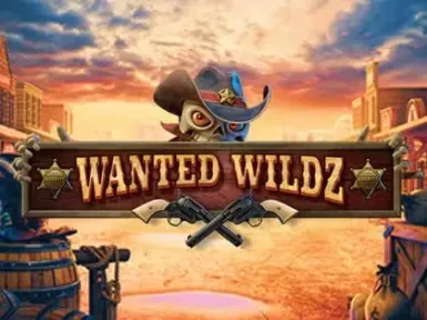 B9Casino screenshot